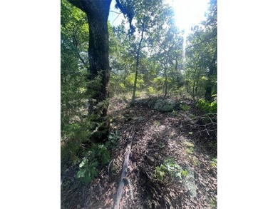 In the middle of Sequoyah County sits one of the best 50+/- - photo 11