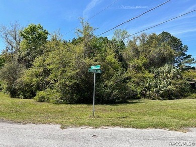 Homosassa River Lot For Sale in Homosassa Florida
