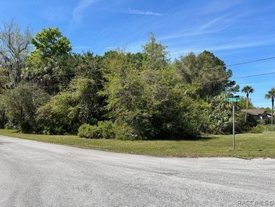 Corner lot available! Come build across the street from state - photo 3