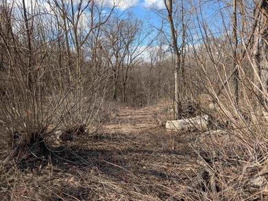 Over an acre of prime land with access to Lake Wisconsin and the - photo 13