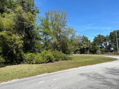 Corner lot available! Come build across the street from state - photo 5