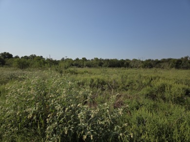 1+ Acre lot in beautiful Richland Park - photo 14