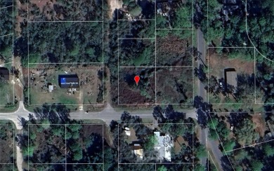 Lake Lot For Sale in Paisley, Florida