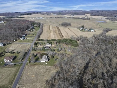 Build your dream getaway on this beautiful 1+ acre lot with - photo 13