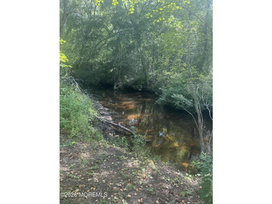 Don't miss this fantastic opportunity to own an affordable - photo 19
