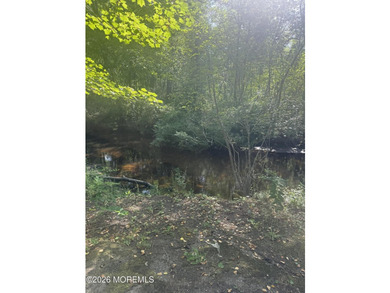 Don't miss this fantastic opportunity to own an affordable - photo 20