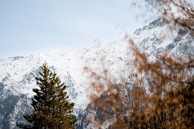 Nestled in the heart of the Coast Mountains, Pemberton Valley - photo 29