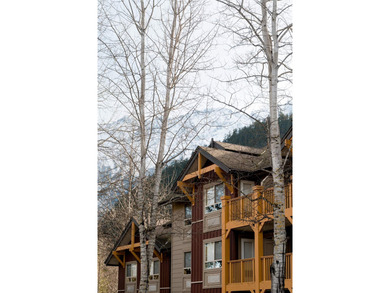 Nestled in the heart of the Coast Mountains, Pemberton Valley - photo 34