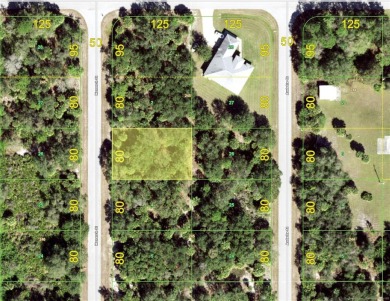 Port Charlotte Waterway Lakes Area Lot For Sale in Port Charlotte Florida
