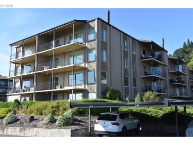 (private lake, pond, creek) Condo For Sale in Vancouver Washington