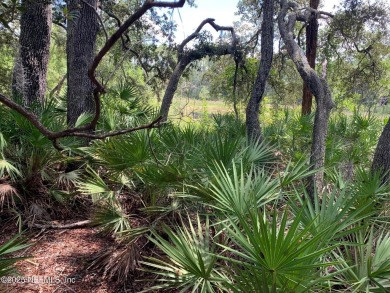 Lake Lot For Sale in Interlachen, Florida