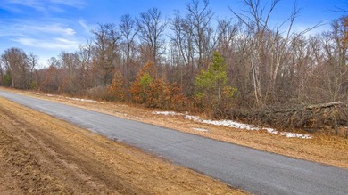 Located in the desirable Southview Shores neighborhood, this - photo 11