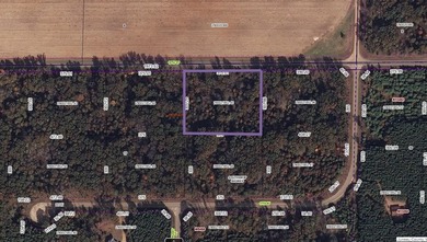 Located in the desirable Southview Shores neighborhood, this - photo 14