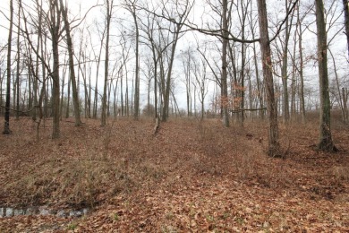 Lake Lot For Sale in Fayetteville, Ohio