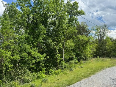 Lake Acreage For Sale in Newport, Tennessee