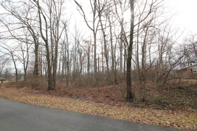 Lake Lot For Sale in Fayetteville, Ohio