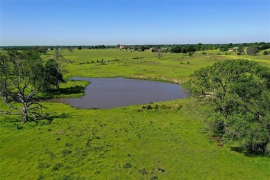 Lake Acreage For Sale in Mabank, Texas