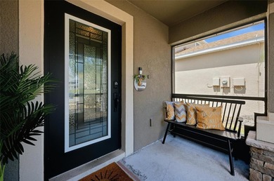 Welcome to 1111 Seminole Sky Drive in the desirable Bahia Lakes - photo 3