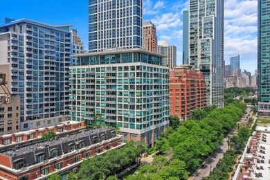 Lake Michigan - Cook County Condo Active Under Contract in Chicago Illinois