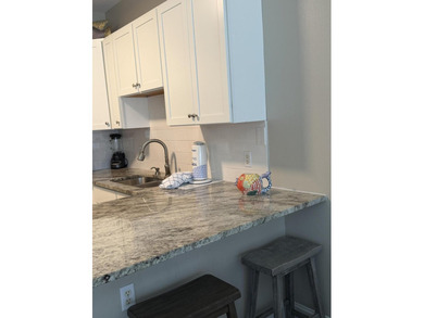 Ground Floor Condo with Gulf Views. This beautifully updated - photo 8