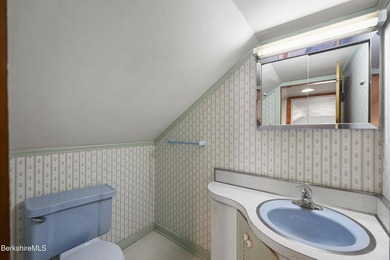 Spacious 4-bedroom 1+1/2 bath Cape with several useful storage - photo 27