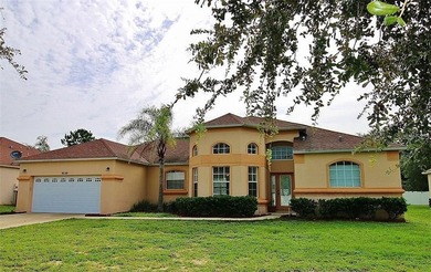 Lake Eustis Home For Sale in Grand Island Florida