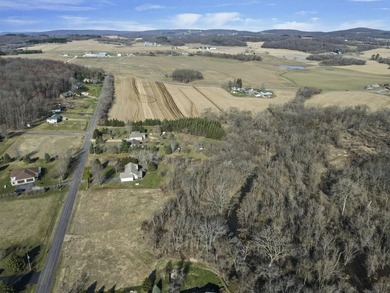 Adjacent Lots - Parcel#211.101 & 211.511 being sold together - photo 12