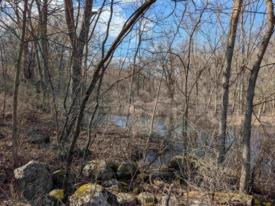 Adjacent Lots - Parcel#211.101 & 211.511 being sold together - photo 15