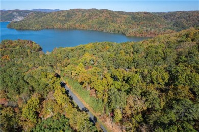 Carters Lake Acreage Sale Pending in Chatsworth Georgia