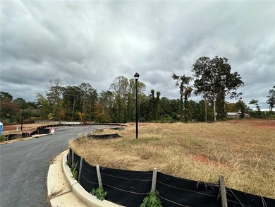 This is a developed residential lot opportunity in Atlanta - photo 7