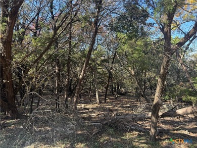 Belton Lake Lot For Sale in Temple Texas