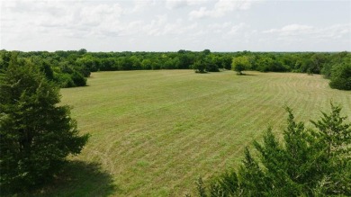 (private lake, pond, creek) Acreage For Sale in Bonham Texas