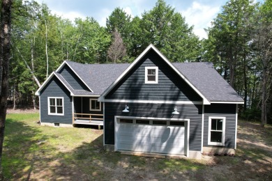 Lewy Lake Home For Sale in Princeton Maine