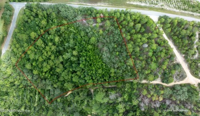 Lake Acreage For Sale in Florahome, Florida