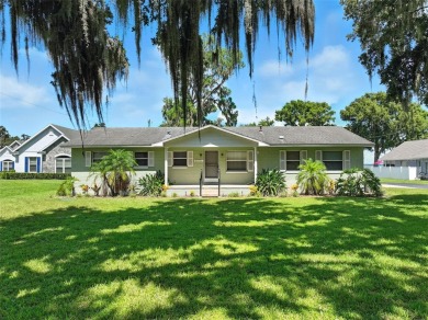 Lake Home For Sale in Tavares, Florida