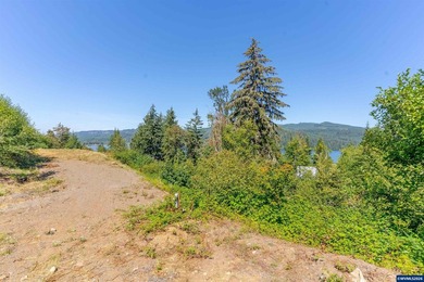 Foster Lake view 1.70-acre lot in a prime Sweet Home location! - photo 12