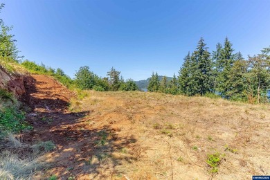 Foster Lake view 1.70-acre lot in a prime Sweet Home location! - photo 13