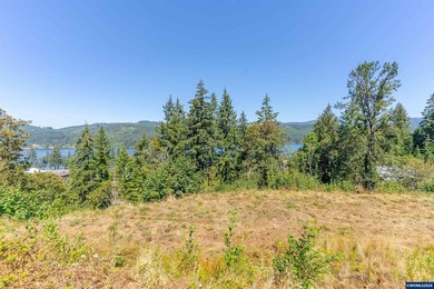 Foster Lake view 1.70-acre lot in a prime Sweet Home location! - photo 14