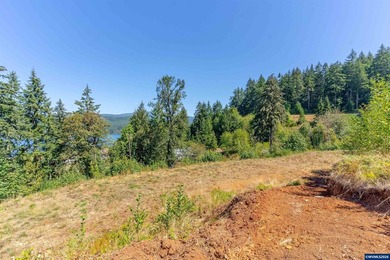 Foster Lake view 1.70-acre lot in a prime Sweet Home location! - photo 15