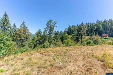 Foster Lake view 1.70-acre lot in a prime Sweet Home location! - photo 17