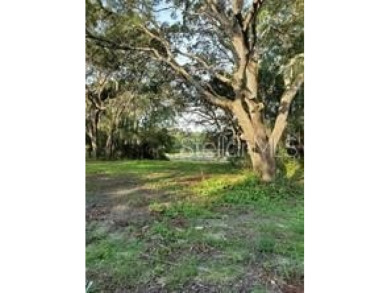 Lake Commercial Sale Pending in Silver Springs, Florida