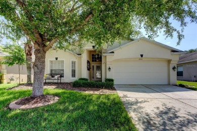 Lake Home For Sale in Brooksville, Florida