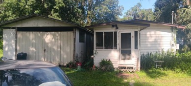 Lake Panasoffkee Home For Sale in Lake Panasoffkee Florida