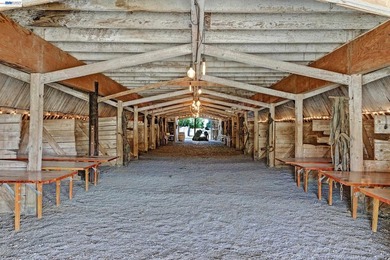 80 acres in the Historic Livermore Valley. End of road privacy - photo 11
