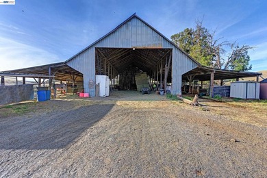 80 acres in the Historic Livermore Valley. End of road privacy - photo 13