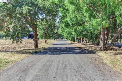 80 acres in the Historic Livermore Valley. End of road privacy - photo 17