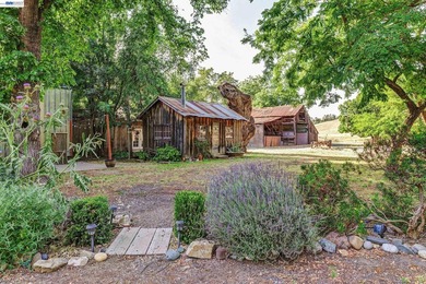 80 acres in the Historic Livermore Valley. End of road privacy - photo 21