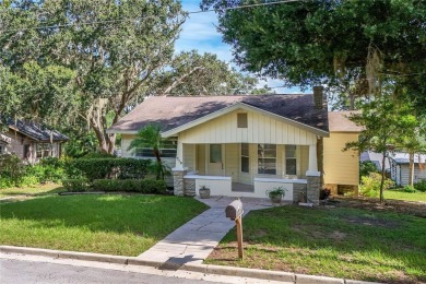 Lake Gracie  Home For Sale in Eustis Florida