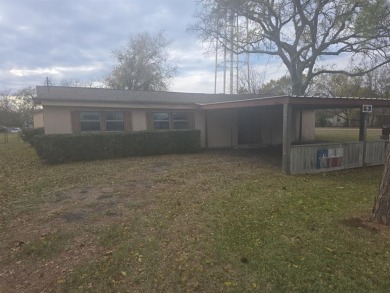 Lake Home For Sale in East Tawakoni, Texas