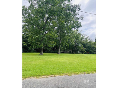 Beautiful lot located just minutes from downtown Foley, OWA, the - photo 3